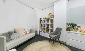 Consulting Rooms